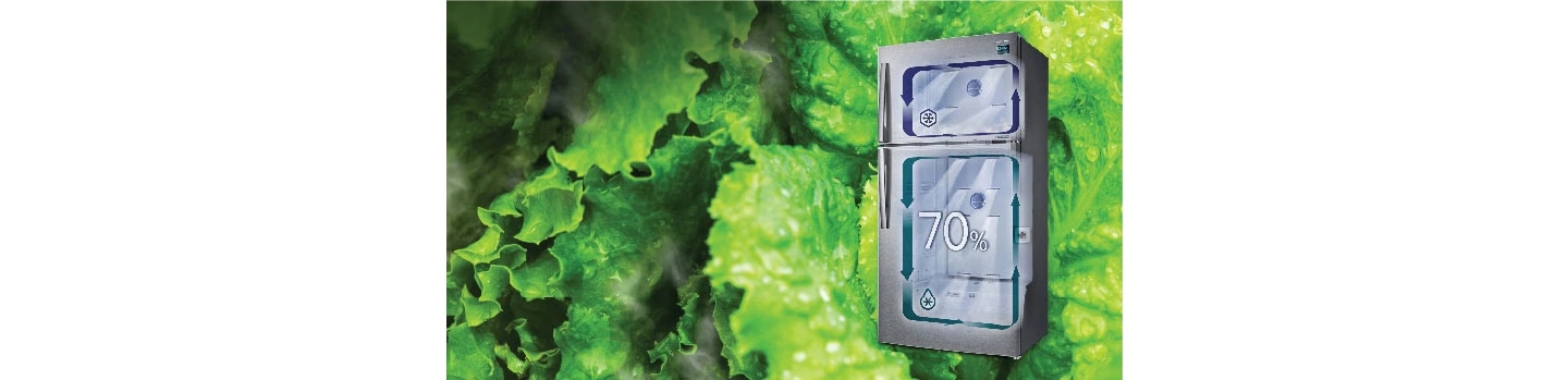 Double door Refrigerator - Twin Cooling Plus™ Feature (Black Inox)