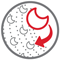 Crescent Moon Drum 